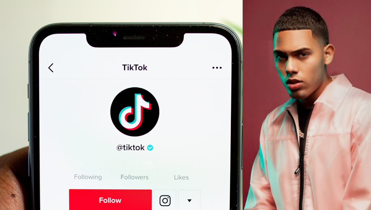 Te contamos de qué va este nuevo video en Tiktok. Foto: Especial