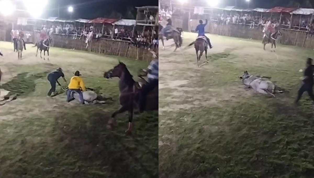El toro al caer murió de manera instantánea