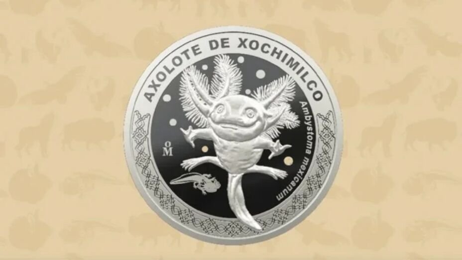 Las monedas son de colección y de una edición limitada Las monedas son de colección y de una edición limitada