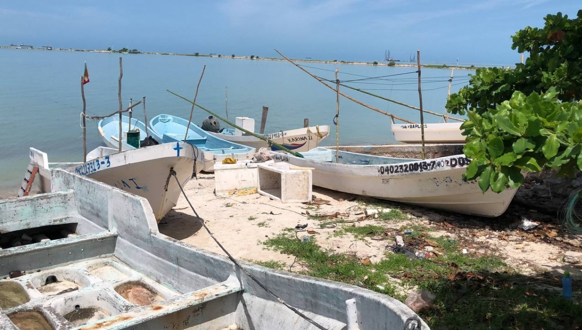 Los pescadores creen que esta temporada estará igual que el año pasado