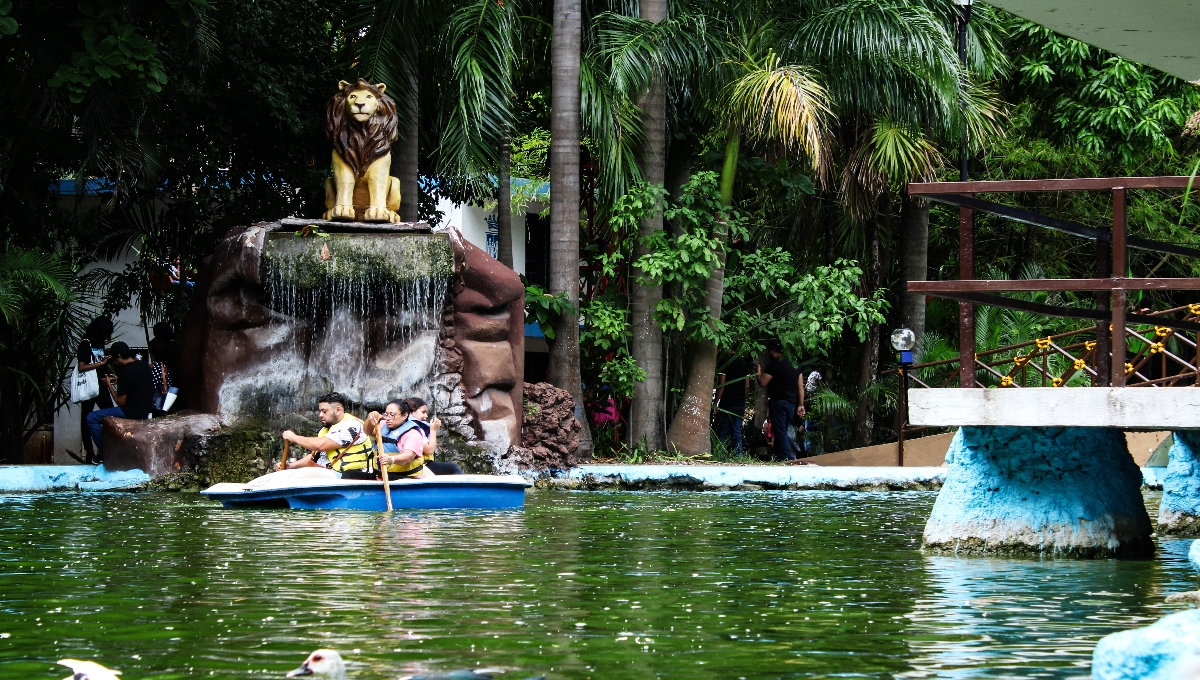 El zoológico Centenario de Mérida es de los más visitados los fines de semana El zoológico Centenario de Mérida es de los más visitados los fines de semana
