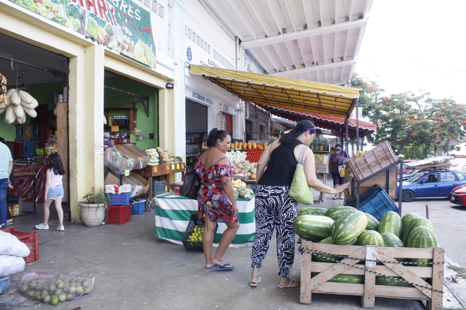 A pesar de no superar los mil pesos, la canasta básica en Mérida sigue siendo la más cara