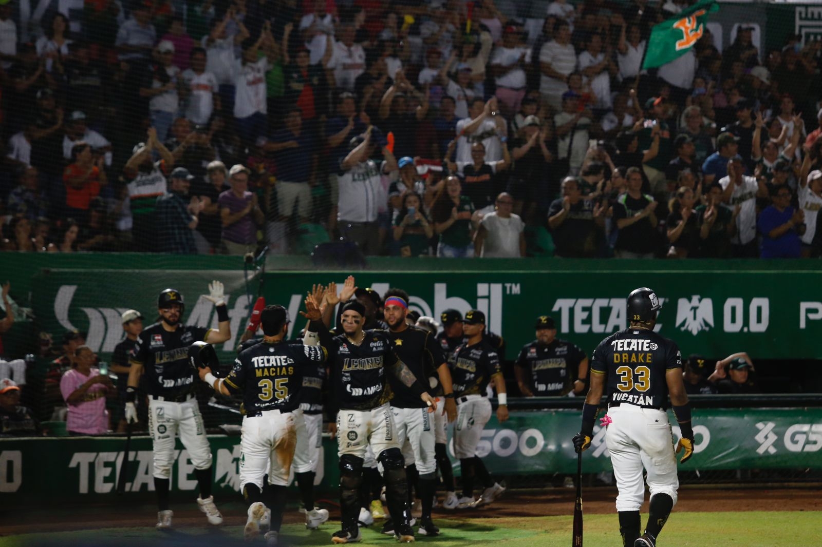 Los Leones de Yucatán dieron un gran partido ante los Olmecas de Tabasco