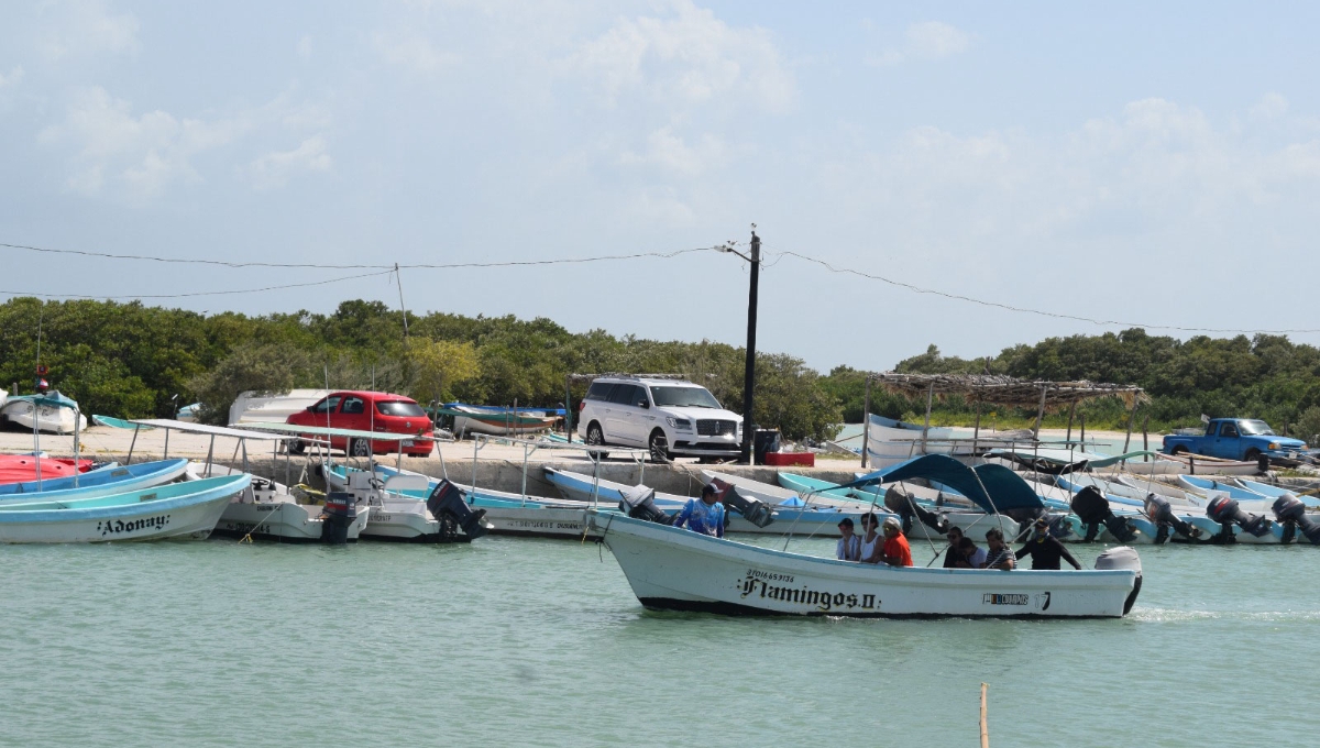 Un grupo de pescadores que no son de Progreso dio recorridos sin pertenecer a alguna cooperativa