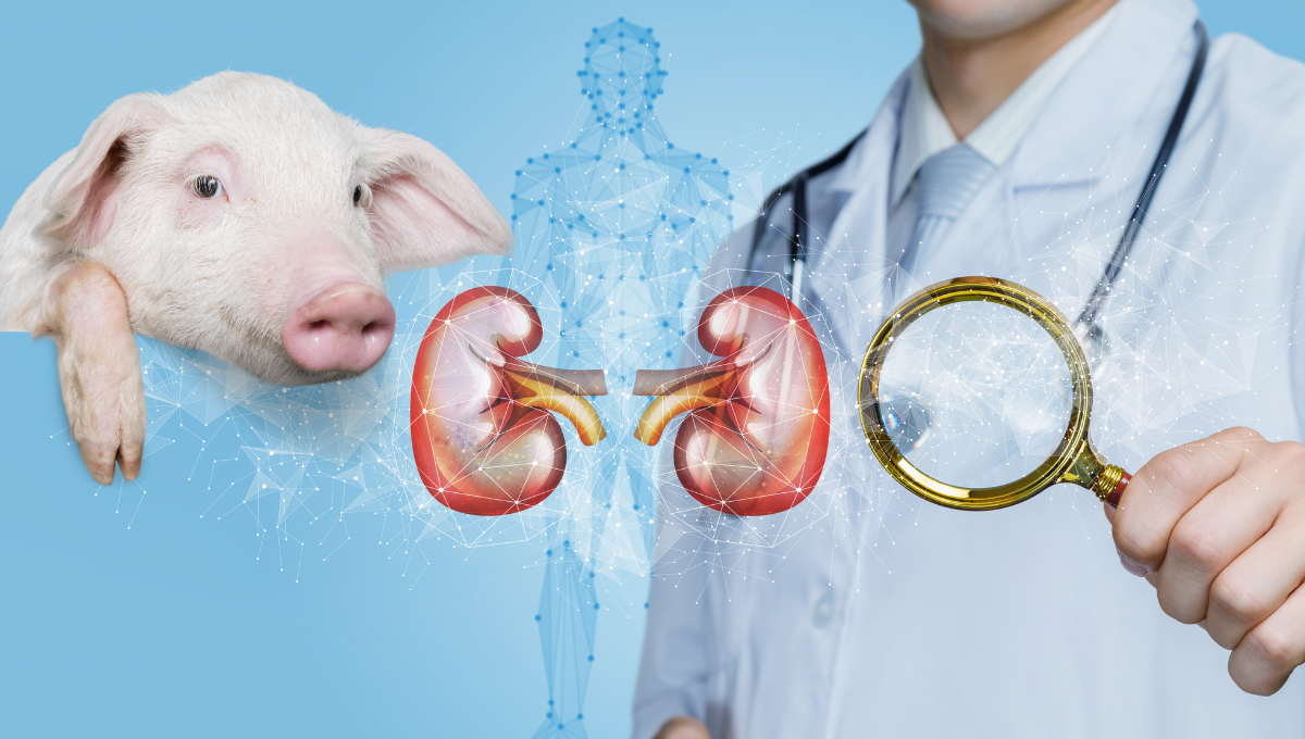 Esto representa un avance en la medicina muy esperanzador. Foto: Especial Esto representa un avance en la medicina muy esperanzador. Foto: Especial