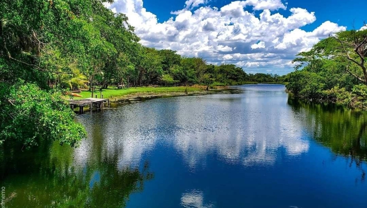 El lugar abre todos los días de 8 de la mañana a 5 de la tarde