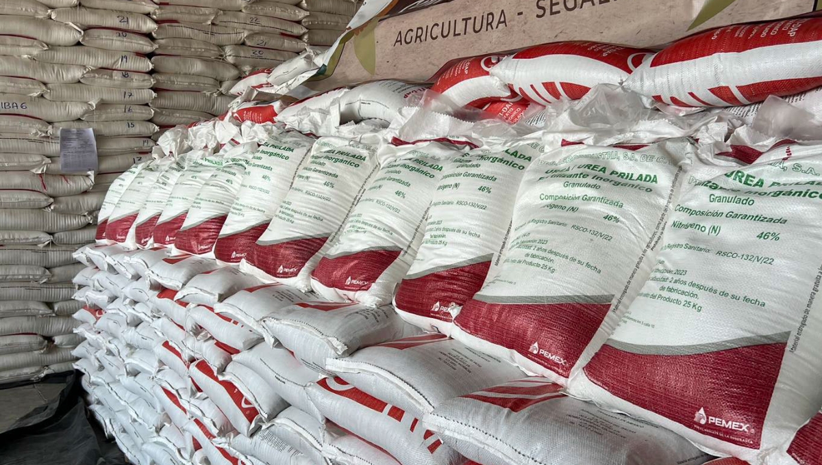 Los fertilizantes servirás para atender aproximadamente 500 mil hectáreas de cultivos de maíz y frijol