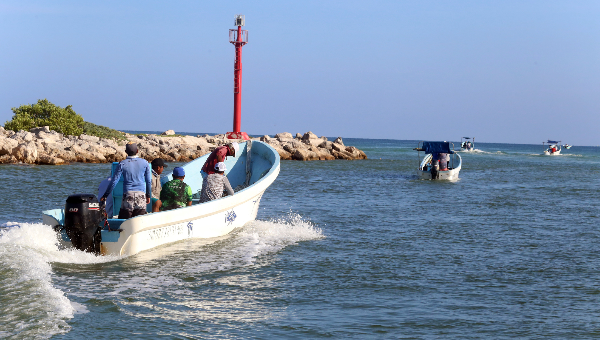 Pescadores de los diferentes puertos califican como regular la primera jornada de captura de pulpo Pescadores de los diferentes puertos califican como regular la primera jornada de captura de pulpo