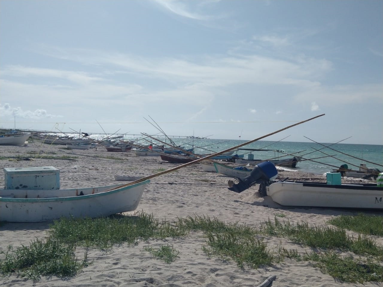 A los hombres de mar les preocupa que las condiciones climatológicas empeoren la captura de pulpo