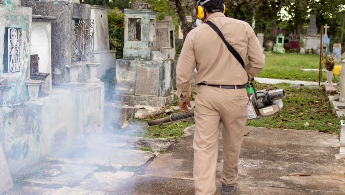 Las fumigaciones comenzaron el pasado lunes 21 de agosto