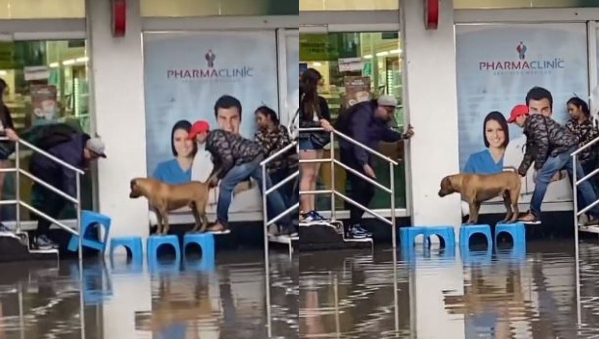 El video se ha vuelto viral en redes sociales El video se ha vuelto viral en redes sociales