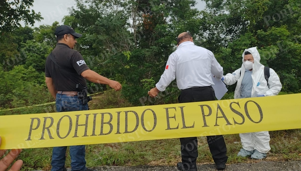El cuerpo fue hallado cerca de una zona de extracción de madera El cuerpo fue hallado cerca de una zona de extracción de madera