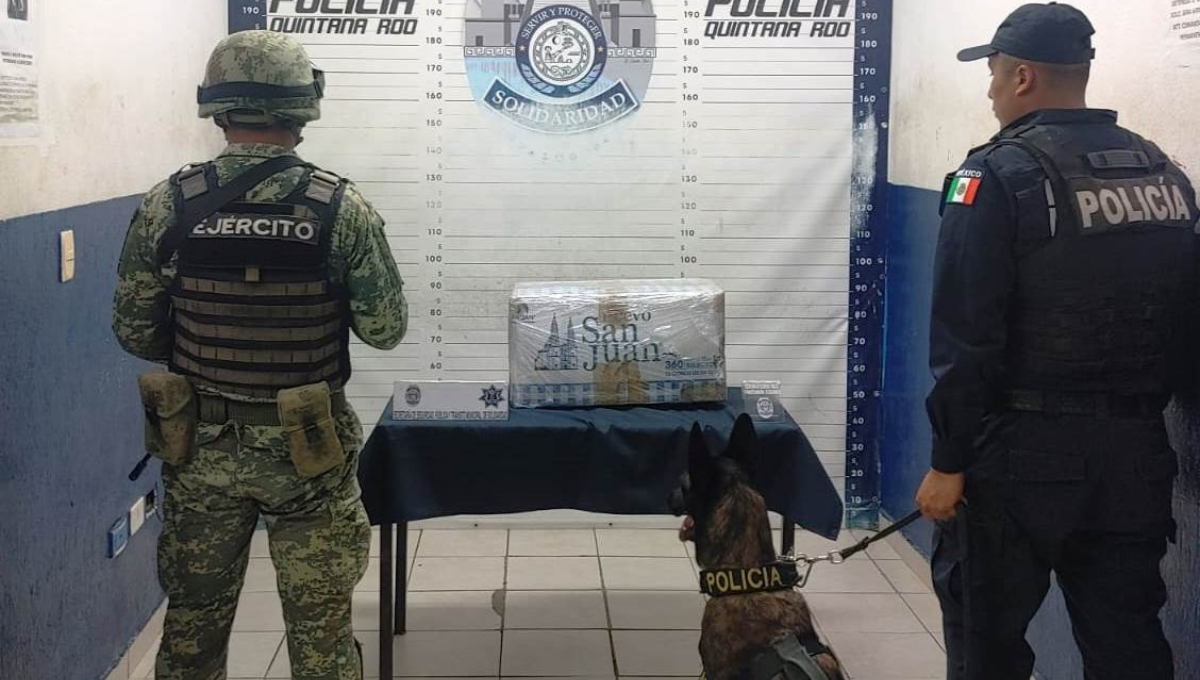 El elemento K9 llamado 'Kamil' detectó la droga El elemento K9 llamado 'Kamil' detectó la droga