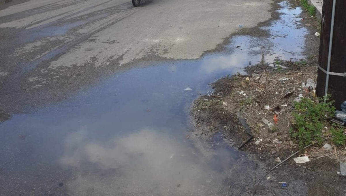 Los vecinos viven entre los malos olores de las aguas negras