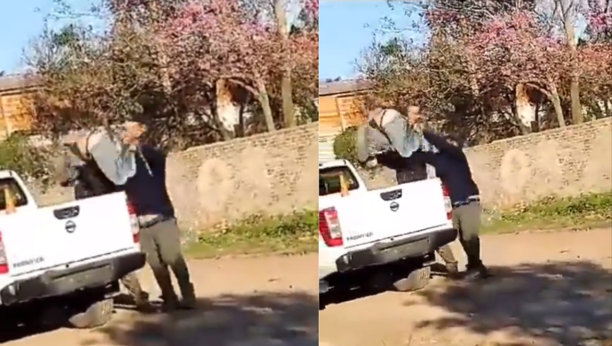 Los vecinos actuaron al ver que la policía hacía poco. Foto: Especial Los vecinos actuaron al ver que la policía hacía poco. Foto: Especial