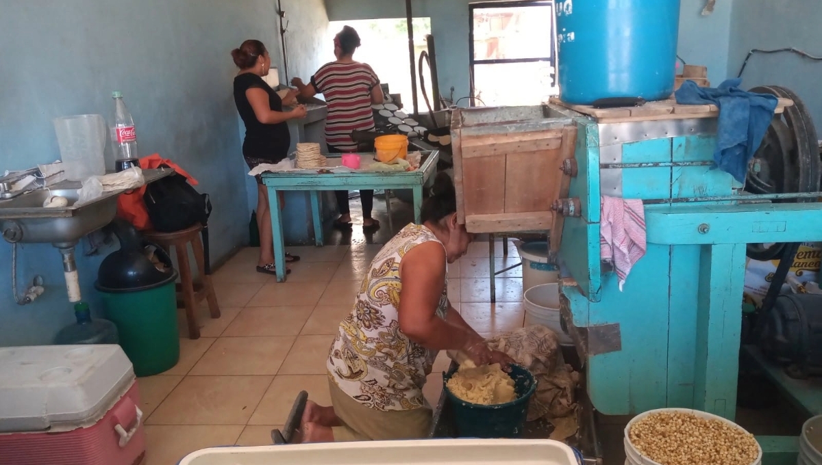 Prevén incremento de tortilla en Hecelchakán; a partir de septiembre se venderá en 28 pesos