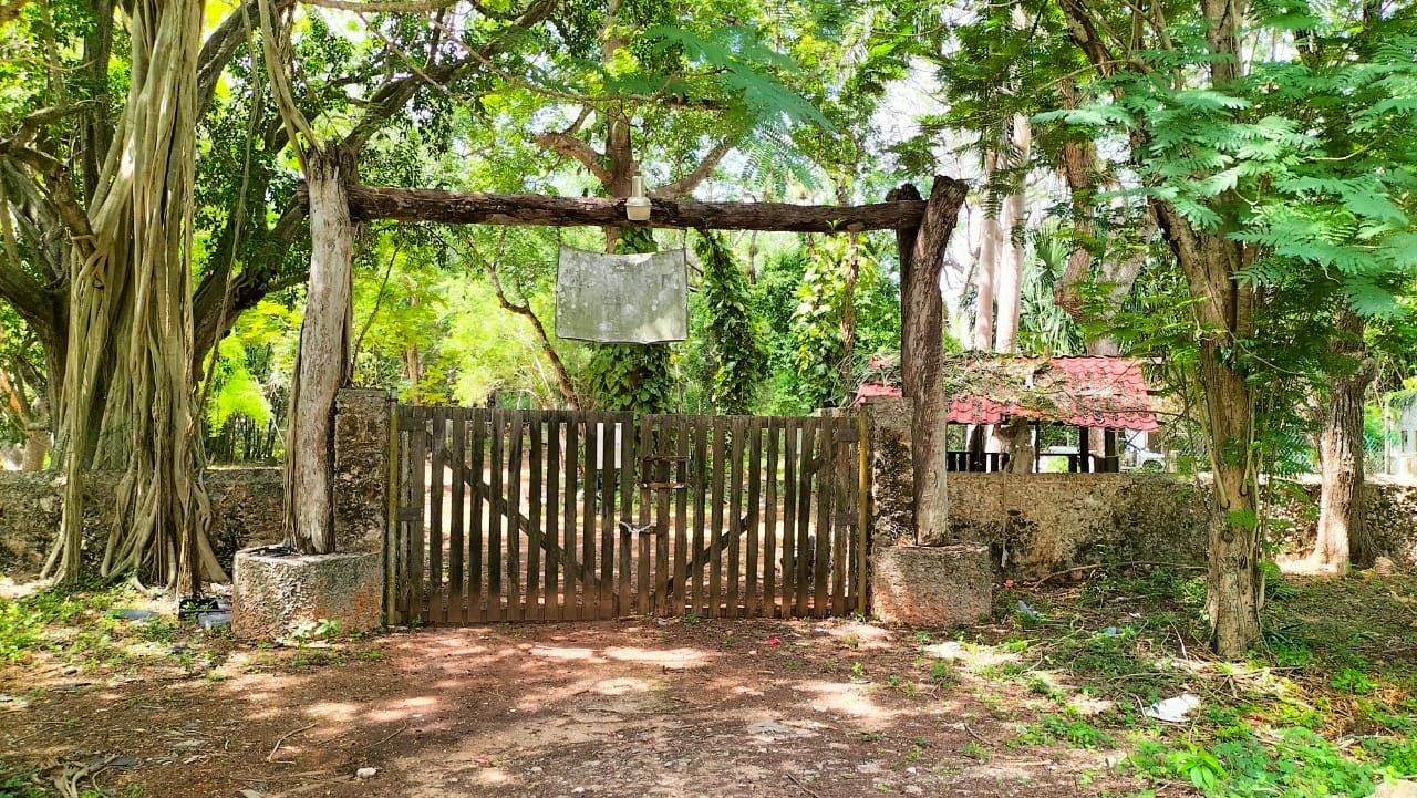Sin explicación, en 2017 las autoridades reubicaron a los 700 ejemplares del Centro San Bartolomé en Tekax Sin explicación, en 2017 las autoridades reubicaron a los 700 ejemplares del Centro San Bartolomé en Tekax