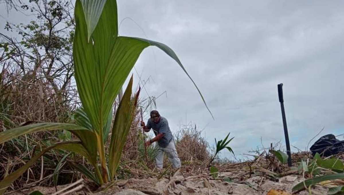 Habitantes de la Villa contribuyen con la protección del ecosistema marino