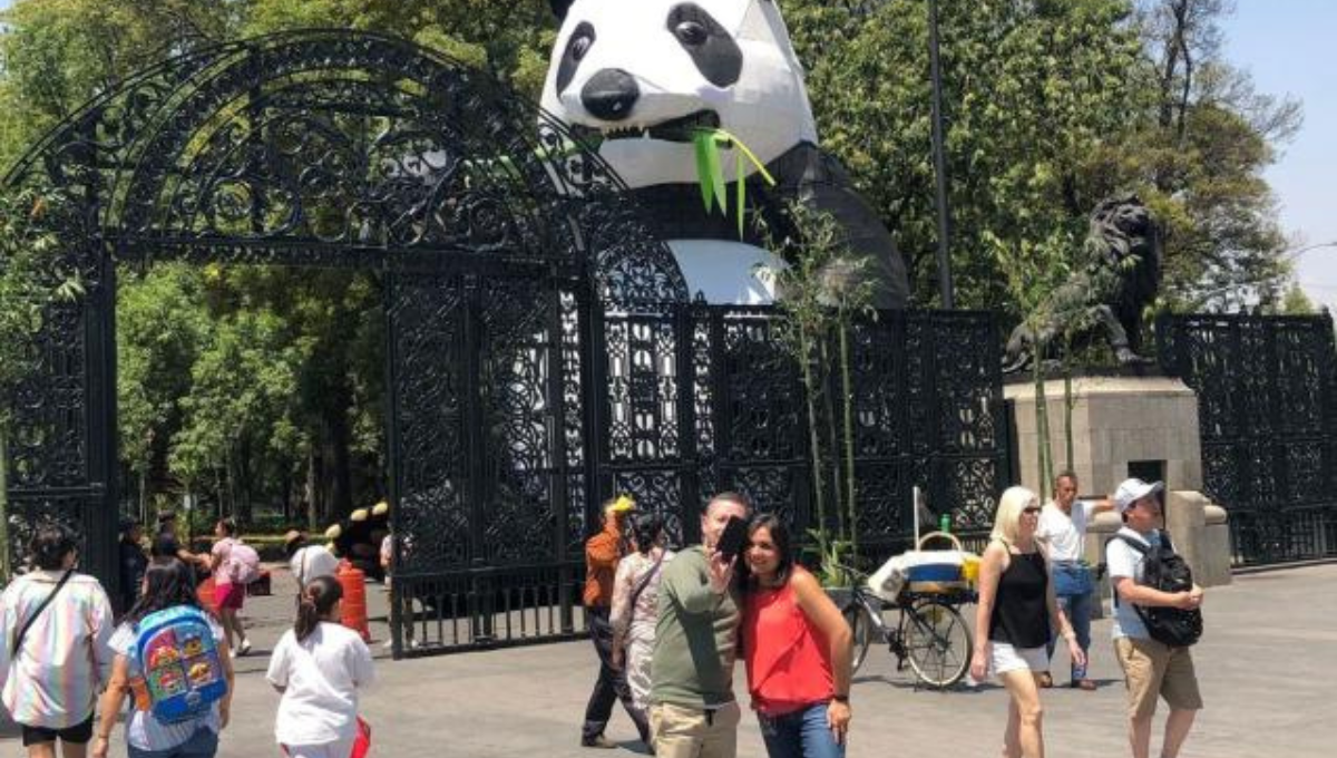 El Zoológico de Chapultepec celebró sus primeros 100 años el pasado 6 de julio El Zoológico de Chapultepec celebró sus primeros 100 años el pasado 6 de julio
