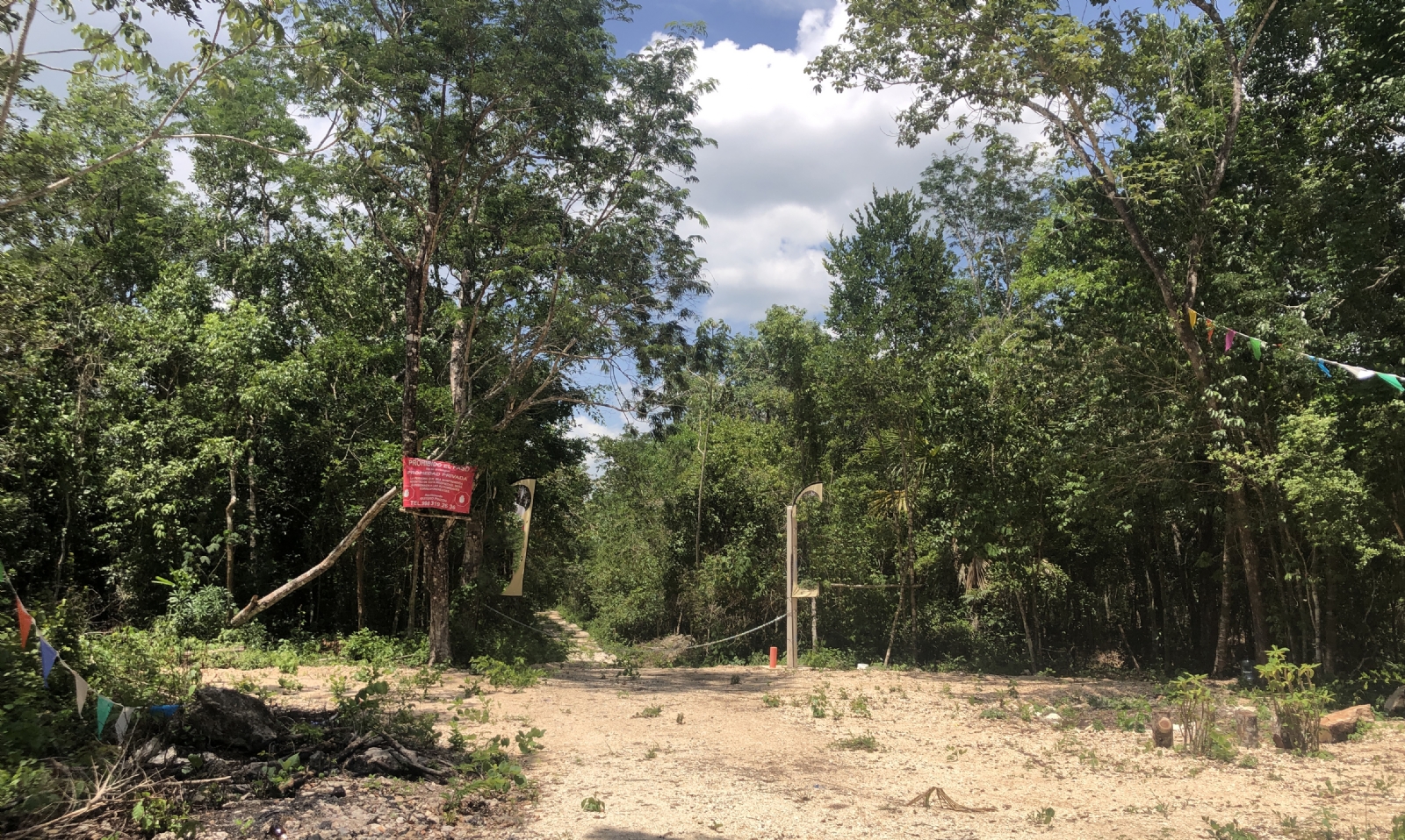 La zona está compuesta por 25 lagunas y 100 cenotes en 22 km de selva virgen La zona está compuesta por 25 lagunas y 100 cenotes en 22 km de selva virgen