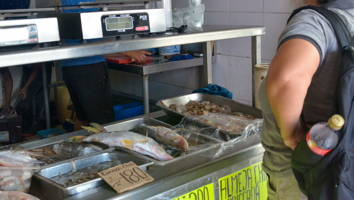 En las pescaderías de los tianguis, el kilo de tilapia está a 95 pesos, por lo que se vende bien En las pescaderías de los tianguis, el kilo de tilapia está a 95 pesos, por lo que se vende bien