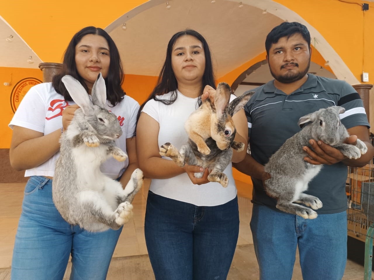 Explicaron que el consumo del conejo es favorable debido a que no tiene grasa ni colestero