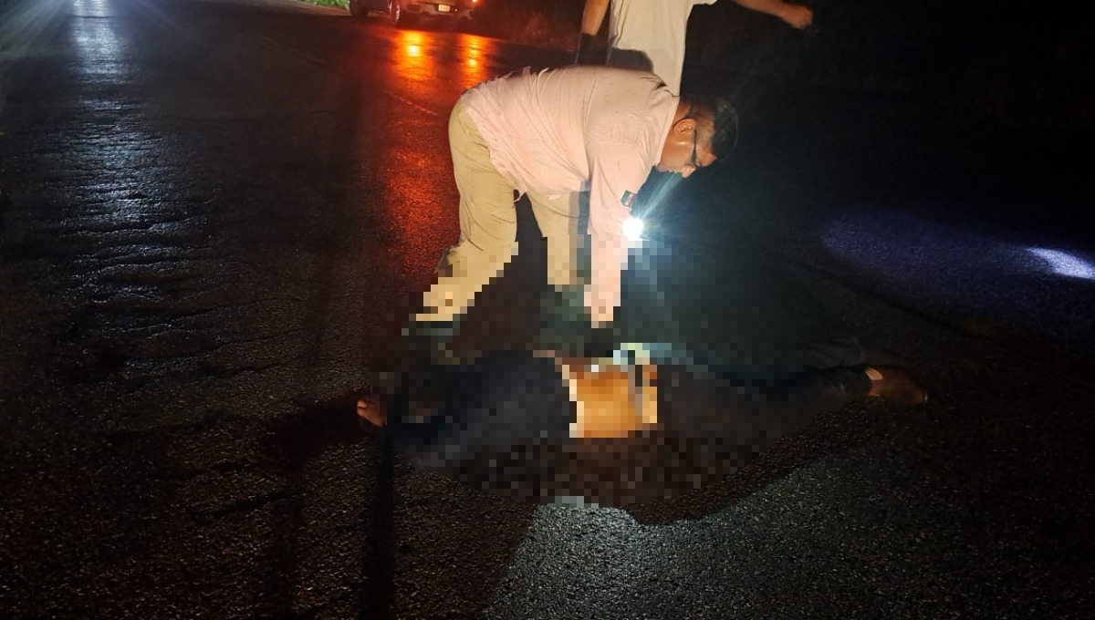 El camión se dio a la fuga tras el hecho