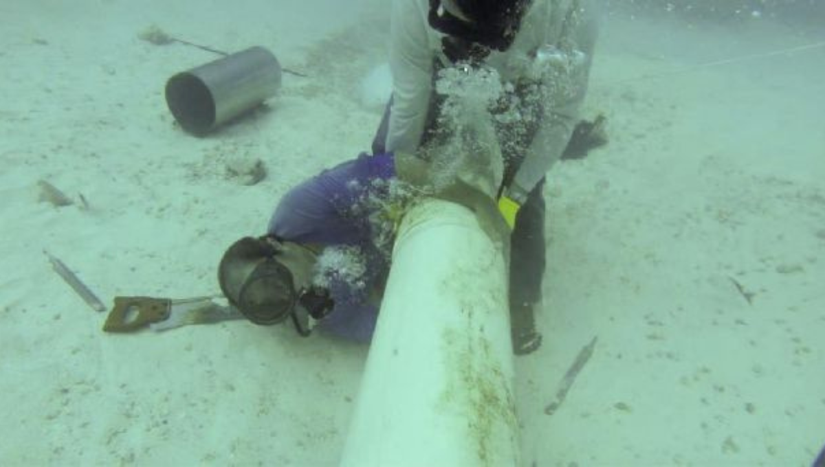En marzo, un barco destruyó el ducto y las brigadas de la compañía tardaron tres días para reparar el daño
