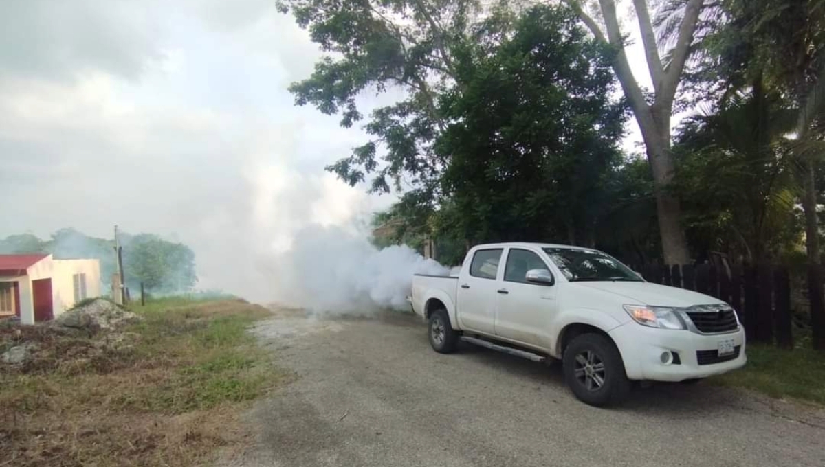 Benito Juárez es el municipio con más casos de dengue en Quintana Roo