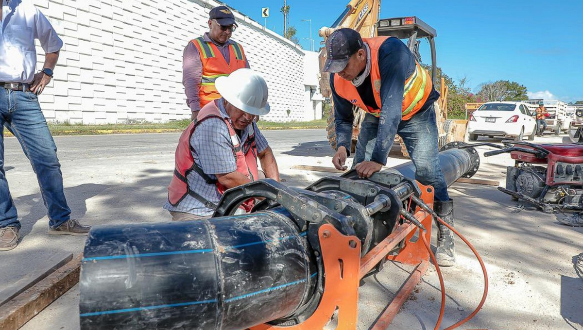 Son alrededor de 250 trabajadores que laboran en Quintana Roo Son alrededor de 250 trabajadores que laboran en Quintana Roo