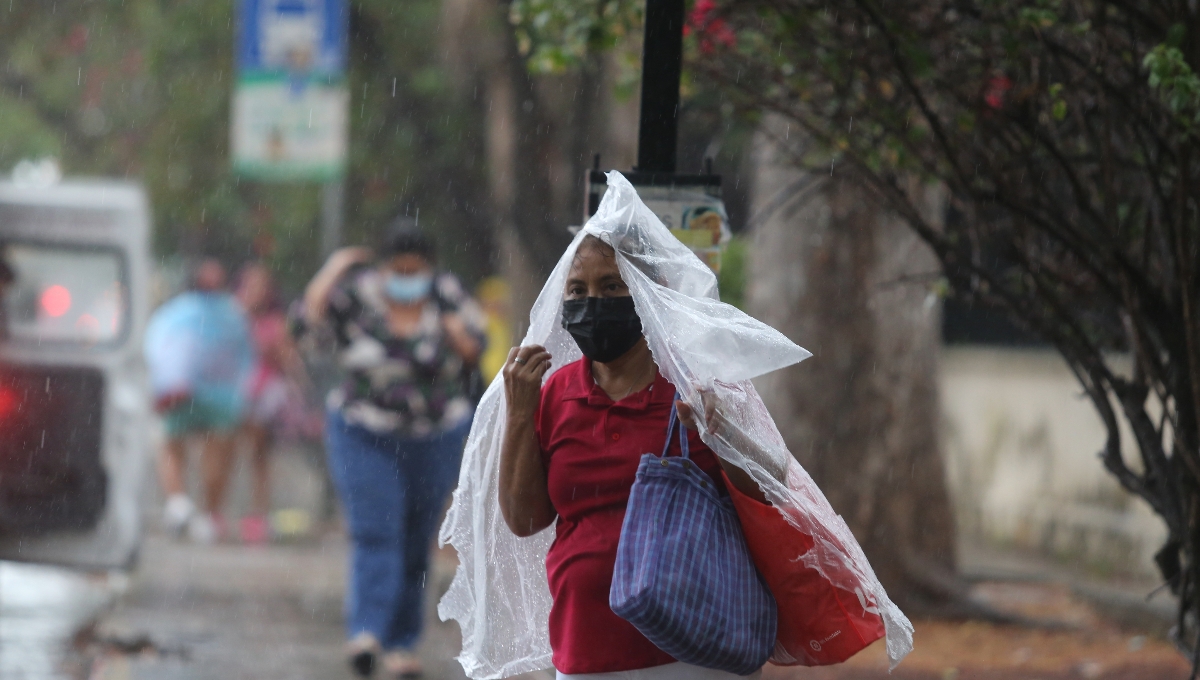 El Cono Sur, en el Punto de Unión Territorial, y la costa Oriente son los más vulnerables