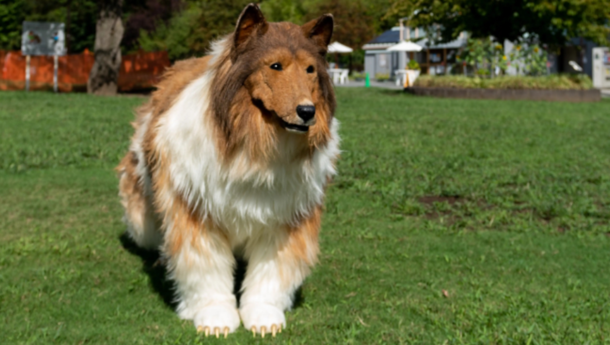 Su disfraz es tan real que sí pasa por un perro de dicha raza. Foto: Especial