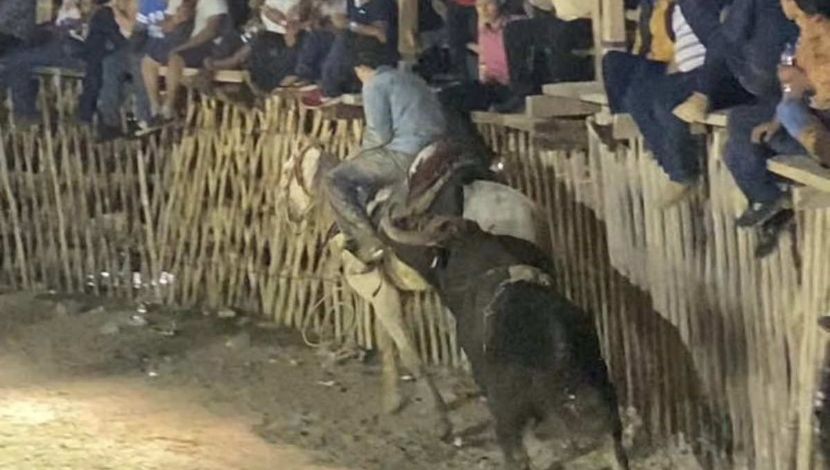 Los torneos de lazo son considerados ilegales en Yucatán Los torneos de lazo son considerados ilegales en Yucatán