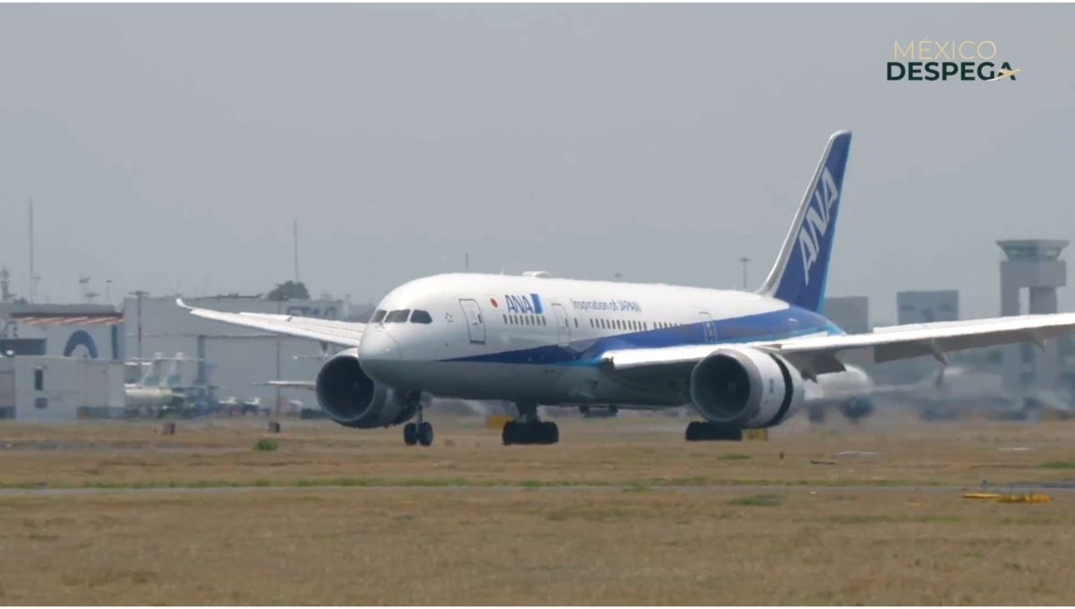 Tras recuperar la categiría 1 en seguridad aérea, México estaría recibiendo hasta 1 millón más de pasajeros Tras recuperar la categiría 1 en seguridad aérea, México estaría recibiendo hasta 1 millón más de pasajeros