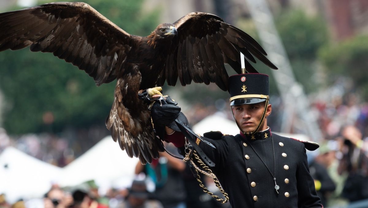 Desfile Militar 2023
