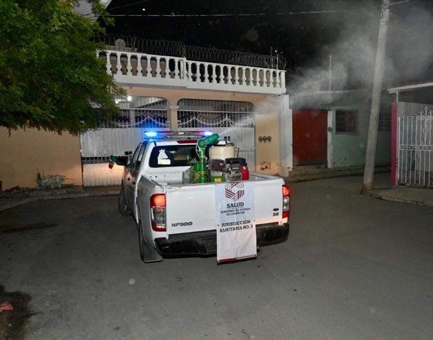 Hasta el momento no hay casos de dengue o chikungunya