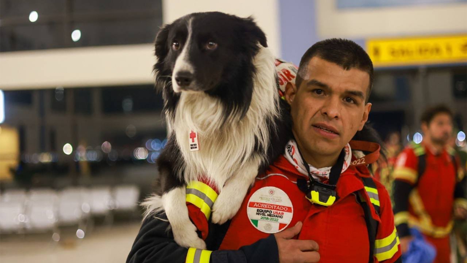 La Cruz Roja Mexicana cuenta con más de 40 perros rescatistas