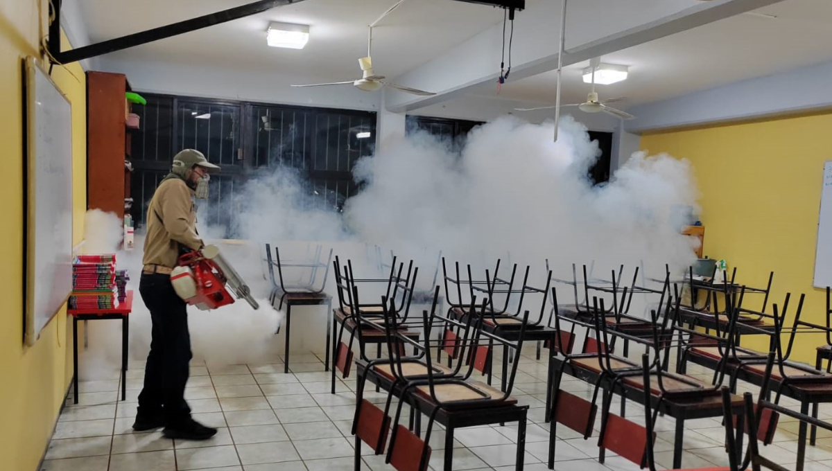 Han comenzado las fumigaciones en Carmen y Escárcega por mayor riesgo de dengue. Han comenzado las fumigaciones en Carmen y Escárcega por mayor riesgo de dengue.