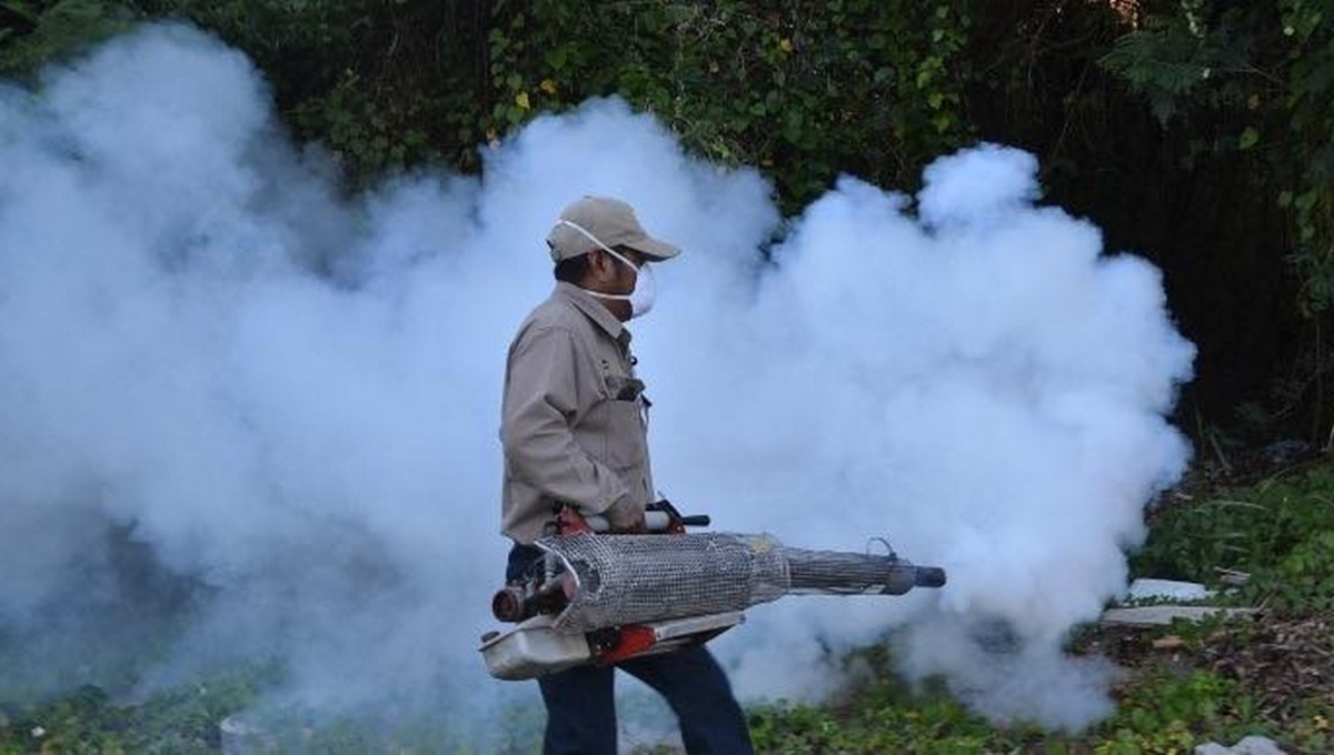 El pasado lunes se reportó la muerte de un niño con síntomas de dengue
