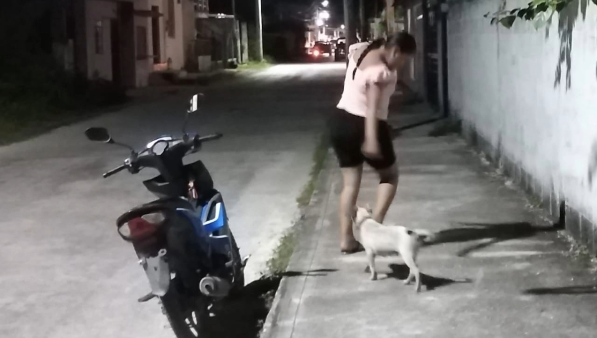 Jóvenes de Sabancuy realizarán 'El Perrotón', una nueva esperanza para perritos callejeros