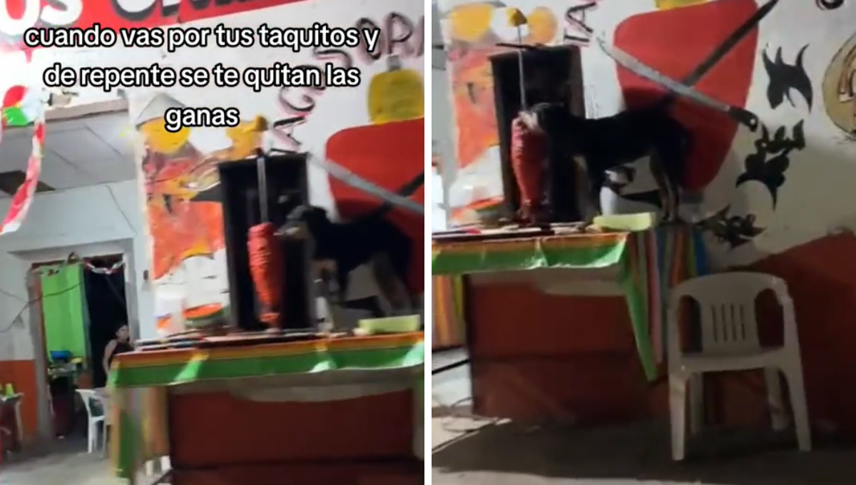 Los comentarios en el video le buscaron el lado humorístico al hecho Los comentarios en el video le buscaron el lado humorístico al hecho