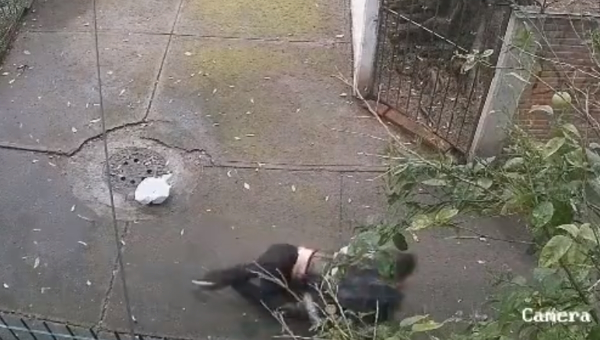El video fue captado por la cámara de seguridad de una casa El video fue captado por la cámara de seguridad de una casa