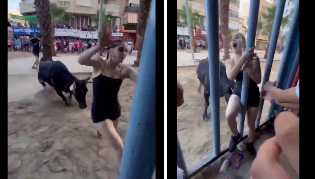 La mujer logró ponerse a salvo sin dejar de recibir una buena embestida La mujer logró ponerse a salvo sin dejar de recibir una buena embestida