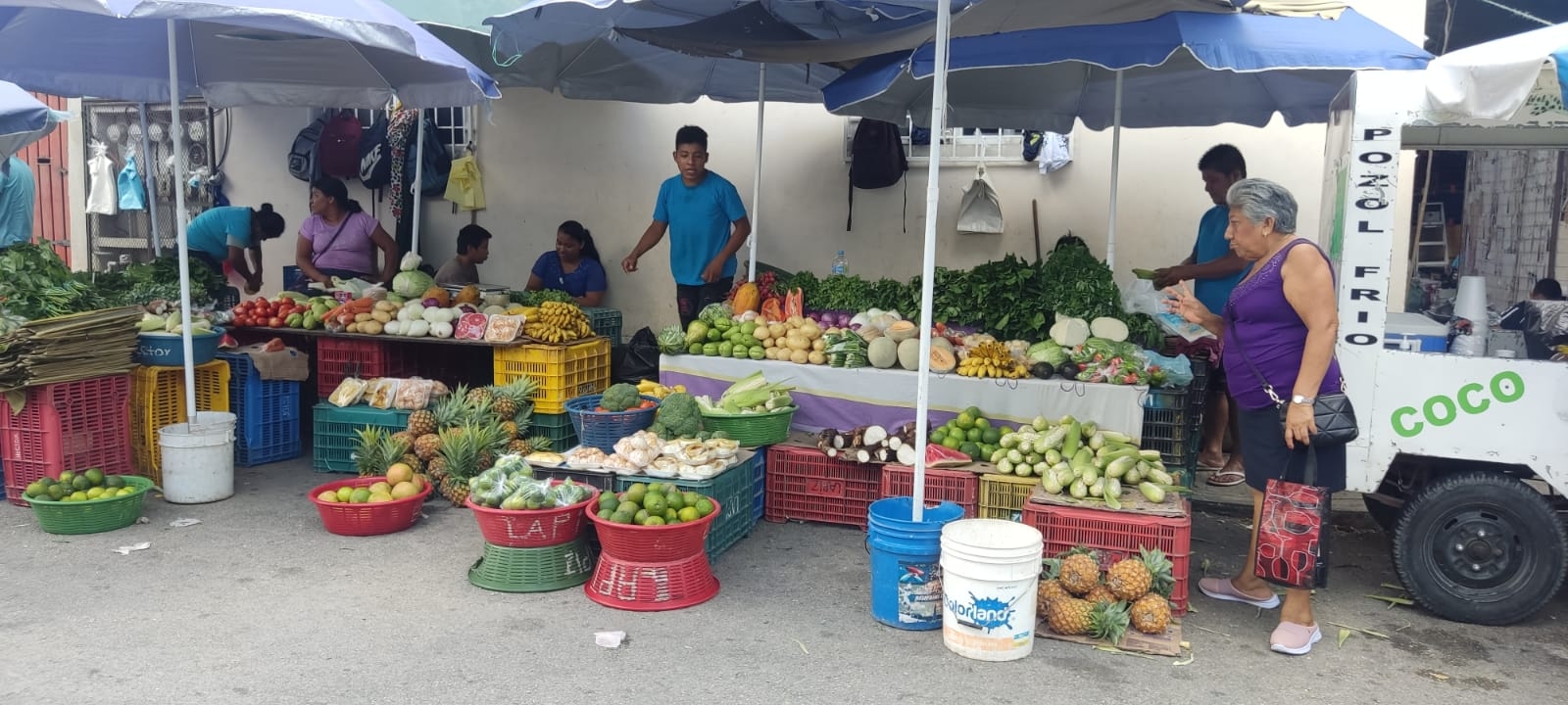 Los habitantes recurren a comprar en el tianguis de la colonia Luis Donaldo Colosio Los habitantes recurren a comprar en el tianguis de la colonia Luis Donaldo Colosio