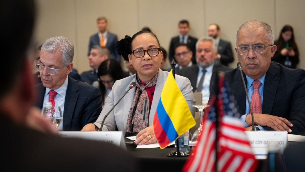 Elizabeth Taylor, viceministra de Asuntos Multilaterales de Colombia Elizabeth Taylor, viceministra de Asuntos Multilaterales de Colombia