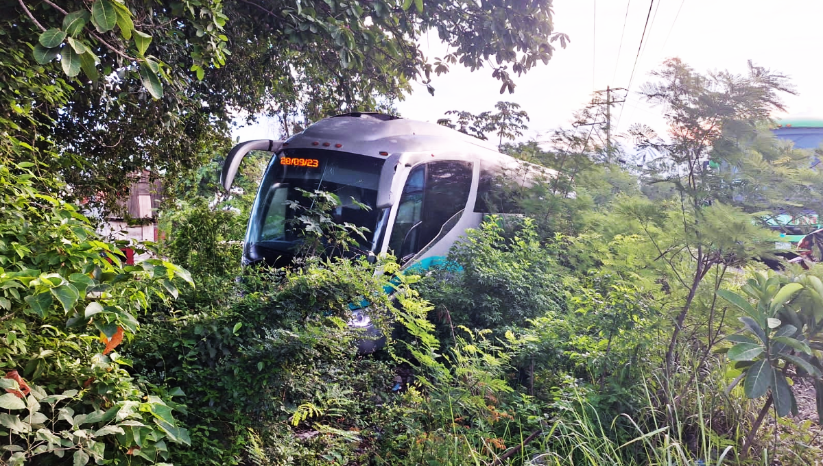 El autobús quedó entre la maleza, por lo que fue necesario pedir apoyo de una grúa El autobús quedó entre la maleza, por lo que fue necesario pedir apoyo de una grúa