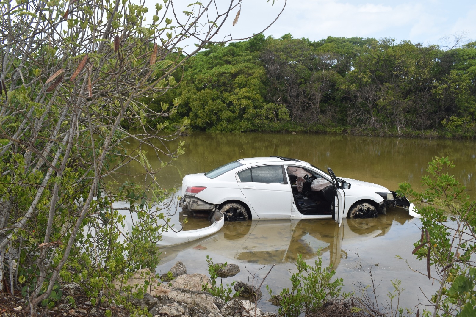 El auto presentó graves daños materiales después de caer en la ciénega