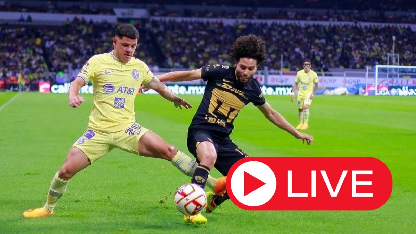 América vs Pumas: Ver en vivo el Clásico Capitalino América vs Pumas: Ver en vivo el Clásico Capitalino