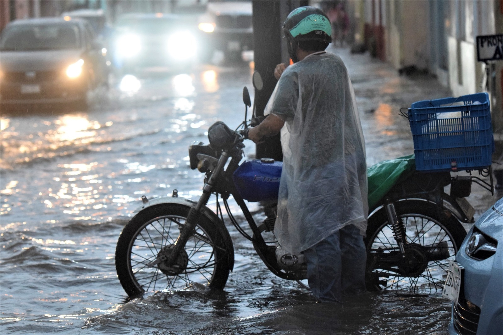 El clima permanecerá fresco a caluroso, principalmente durante la tarde