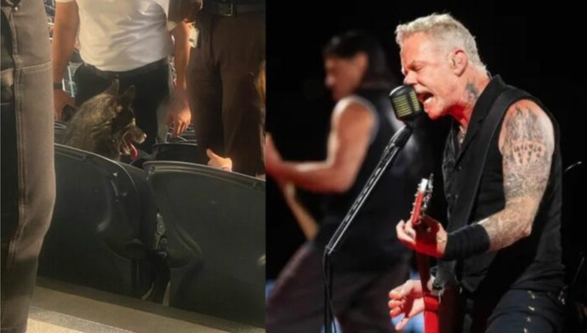 La perrita fue captada en el concierto. Foto: Especial La perrita fue captada en el concierto. Foto: Especial